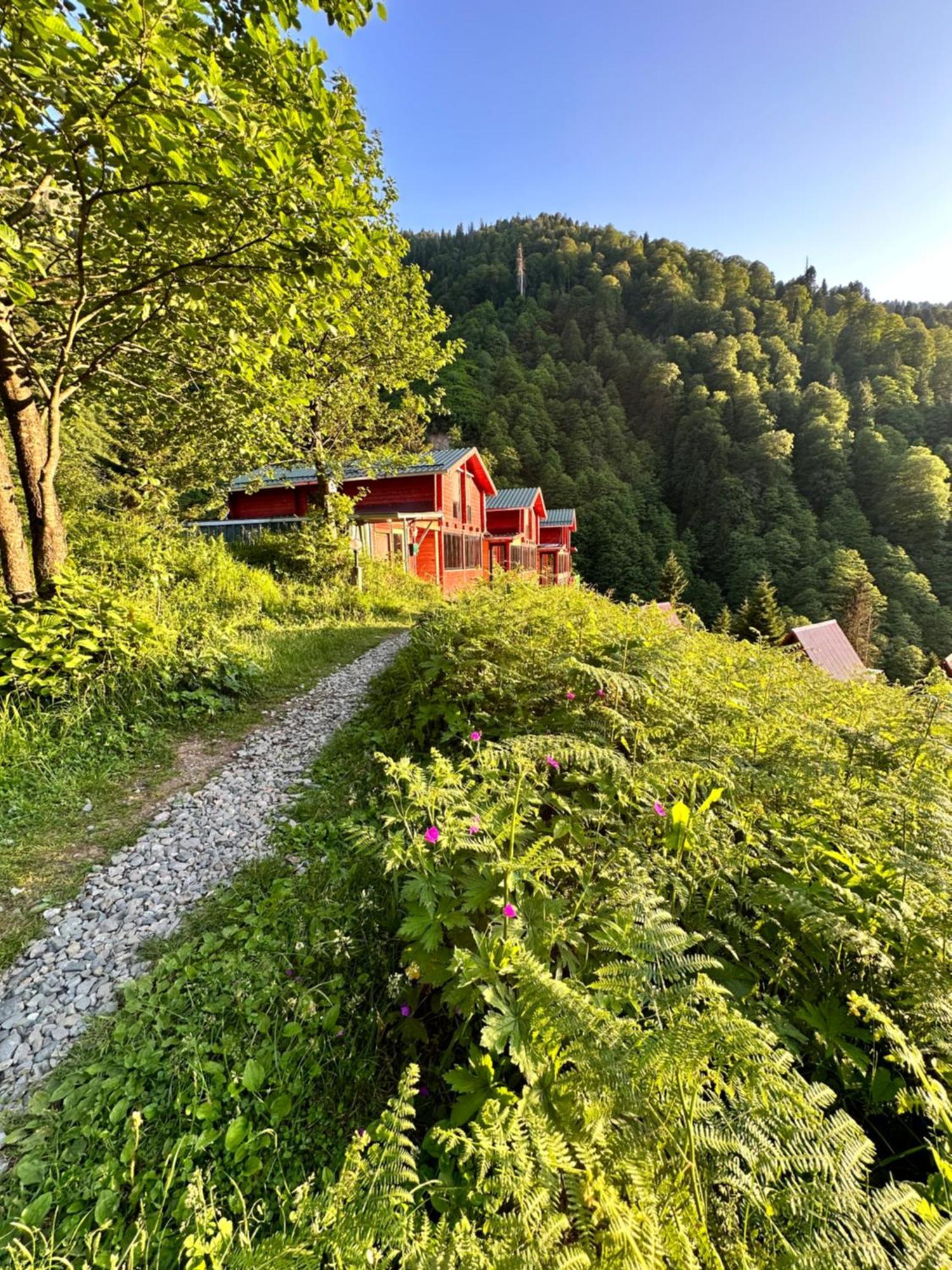 Ayder Villa Gencal Exterior photo